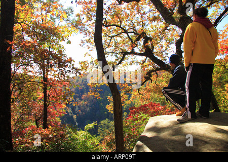 Blick auf Raven Klippe stürzen, Caesars Head State Park, Cleveland, South Carolina, USA Stockfoto