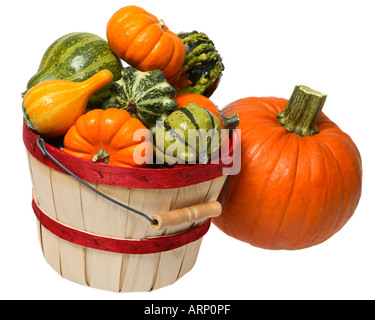 Korb mit Kürbissen und Kürbis Stockfoto