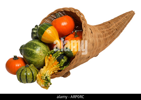 Füllhorn mit Squash, Kürbisse und Kalebassen Stockfoto