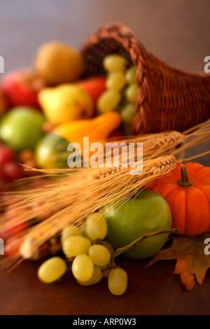 Herbst-Ernte Stockfoto