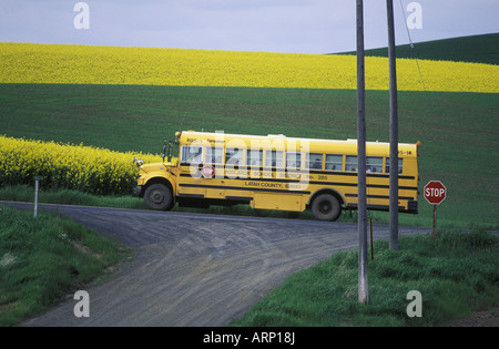 USA, Idaho, Schulbus auf Landstraße Stockfoto