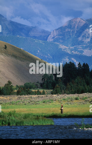 USA, Yellowstone-Nationalpark, Fliegenfischen der Madison River Stockfoto