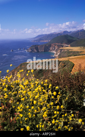 USA, California, Küste in der Nähe von Big Sur Stockfoto