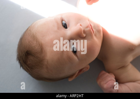sechs Wochen altes neugeborenes Baby Gesicht schwere starren alert Auge bereit für die Welt Stockfoto