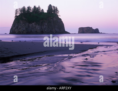 USA, Washington State, Olympic Nationalpark, Shi Shi Beach Stockfoto