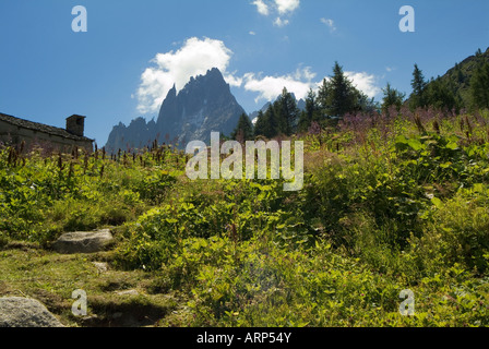 Les Grandes Jorasses. Montenvers. Französische Alpen. Rhône-Alpes. Haute Savoie. Frankreich Stockfoto