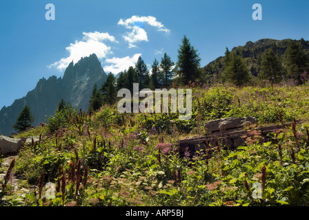 Les Grandes Jorasses. Montenvers. Französische Alpen. Rhône-Alpes. Haute Savoie. Frankreich Stockfoto