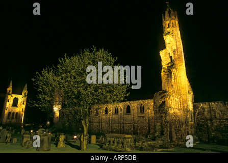 Ruinen der St. Andrews Kathedrale und Grabsteine bei Nacht mit künstlichem Licht und Baum im Vordergrund. St. Andrews, Fife, Schottland, Großbritannien. Stockfoto
