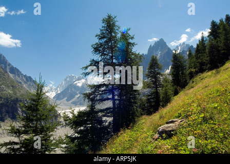 Les Grandes Jorasses. Montenvers. Französische Alpen. Rhône-Alpes. Haute Savoie. Frankreich Stockfoto