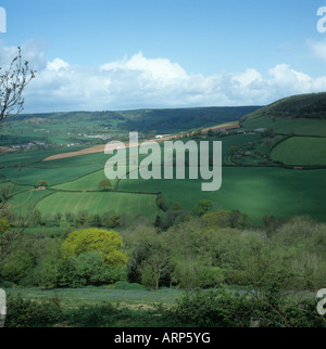 Devon Valley Ackerland mit Getreide Felder und Wälder im Frühjahr in der Nähe von Sidmouth Stockfoto