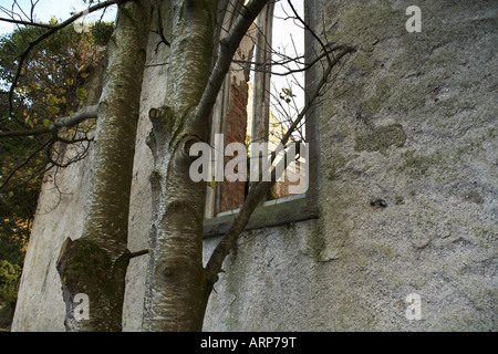 Foulksrath Schloß, Grafschaft Killkenny Republik Irland, Europa Stockfoto