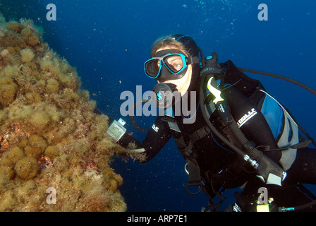 Weibliche Taucher im Mittelmeer Stockfoto