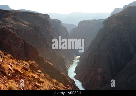 BLICK AUF GRANITE GORGE UND COLORADO RIVER VON CLEAR CREEK TRAIL IN DER NÄHE VON SUMNER WASCHEN IM GRAND CANYON IM GRAND CANYON NATIONAL PA Stockfoto