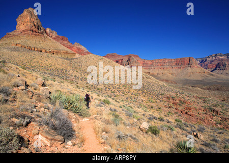 WEIBLICHE BACKPACKER AUF KLARE CREEK TRAIL DURCHQUERUNG DER WÜSTE IN DER NÄHE VON ZOROASTER CANYON WASH IM GRAND CANYON IM GRAND CANYON NATION Stockfoto