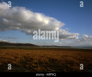 Salzwiesen und Mündung des The River Kent Grange-über-Sande Arnside Knott in Ferne Morecambe Bay Cumbria England Stockfoto