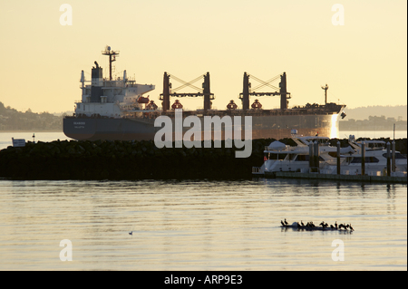 Korn-Tanker Schiff vor Anker in der Elliott Bay im Puget Sound vor den Toren Ufermauer der Elliott Bay Marina Seattle Washington Stockfoto