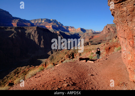 BACKPACKER AUF KLARE CREEK TRAIL IN DER NÄHE VON SUMNER WASCHEN IM GRAND CANYON IM GRAND CANYON NATIONAL PARK ARIZONA USA Stockfoto