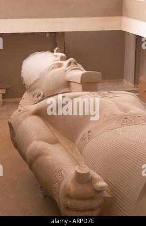 Statue von Ramses II. Museum Memphis Ägypten Stockfoto