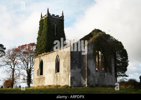 Foulksrath Schloß, Grafschaft Killkenny Republik Irland, Europa Stockfoto