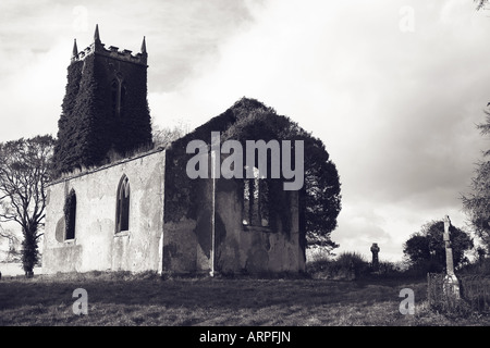 Foulksrath Schloß, Grafschaft Killkenny Republik Irland, Europa Stockfoto