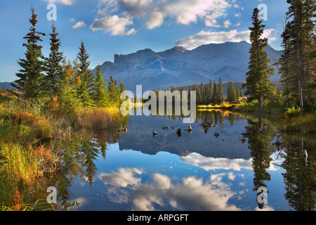 See-Reflexionen von Wolken und Fell Bäume und Berge in der Ferne Stockfoto