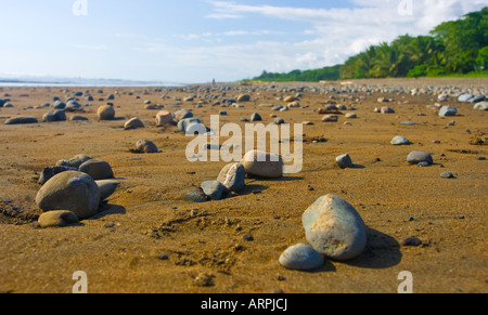 Niedrigen Niveau Blick auf den Strand in dominical Costa Rica Stockfoto