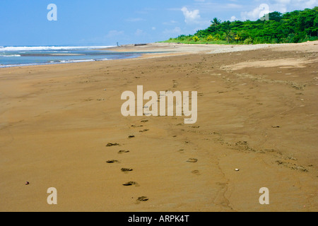 Fußspuren im Sand am Playa Dominical Costa Rica Stockfoto