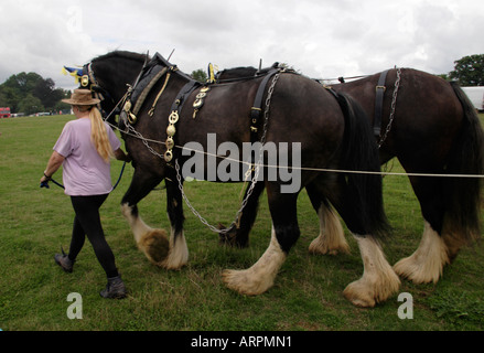 Schwere Pferde, Rudgwick Dampf & Land zeigen, 2006 Stockfoto