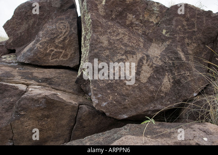 alten Petroglyph Zeichnungen in Los Lunas, New Mexico, USA Stockfoto