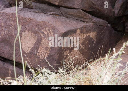 alten Petroglyph Zeichnungen in Los Lunas, New Mexico, USA Stockfoto