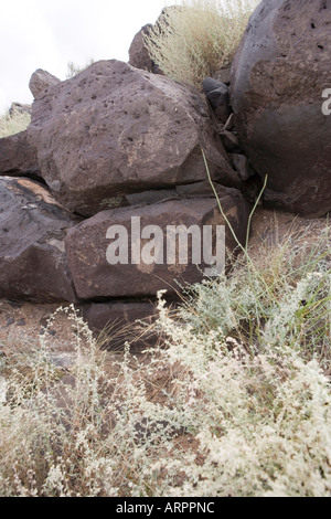 alten Petroglyph Zeichnungen in Los Lunas, New Mexico, USA Stockfoto