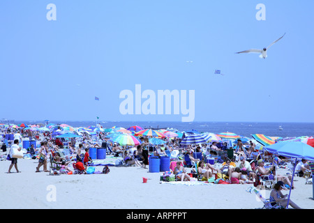 Masse von Menschen mit bunten Sonnenschirmen, Stühlen und Handtücher am Strand von Jersey Shore. Stockfoto