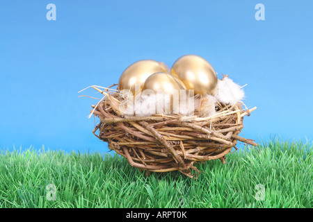 Goldenen Eiern im Nest des Vogels auf dem Rasen über blauen Himmel