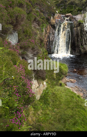 dh Brennen von LUNKLET SHETLAND Heather Flussufer und Wasserfall fließt über felsige Stream Flow Glen fallen Stockfoto