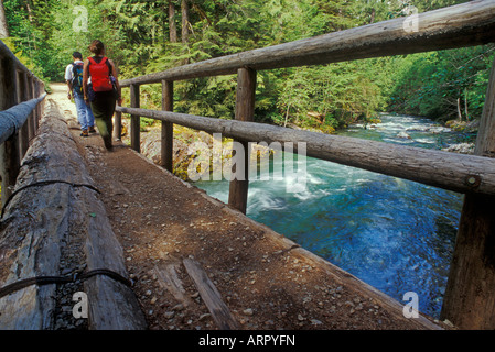 Wanderer auf Trail Brücke über kleine Norden Santiam Fluß Opal Creek Wilderness Cascade Mountains Oregon Stockfoto