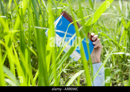 junge Frau liest ein Buch mit Gedichten in einem Feld von wilden grünen Rasen Stockfoto