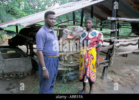 Afrika Kenia NACHWAHLEN kenianischen Pärchen mit ihrer Heifer Projekt International Kalb erhielt von ihrer Familie als Teil des t Stockfoto