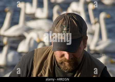 Mann, die Fütterung Whopper Swan [Cygnus Cygnus] Stockfoto