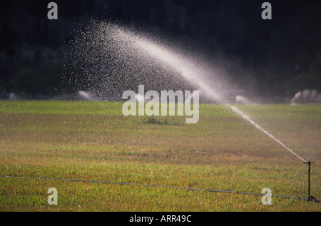 Bewässerungssystem, die Bereitstellung von Wasser für senteurs Boden Okanagan Falls British Columbia Kanada Stockfoto