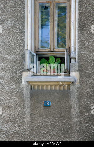 Rumänien Bukarest Windows home Hausbau Straße lebenden Armen kein Geld Obdachlose Land Erwachsenen Gewohnheiten Website Beruf job Stockfoto