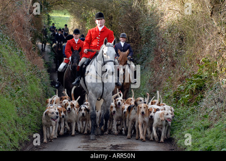 Die huntsman und Feld einer Fuchsjagd Ereignis treffen auf einem Feldweg auf dem Pferd mit dem Pack von Hunden folgende und die umliegenden Reiter. Stockfoto