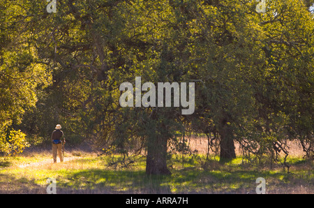 Wanderer, Wandern In den Santa Rosa Plateau Naturreservat Murietta Riverside County Kalifornien USA Stockfoto