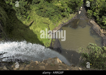 Bridal Veil Wasserfall schaut nach unten, Raglan, Neuseeland Stockfoto