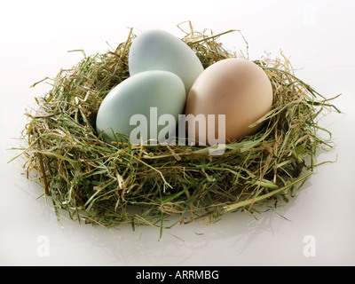 Alten Cotswold erscheinen Hühnereier in einem nest Stockfoto