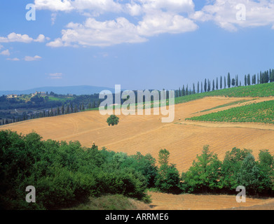 ITALIEN TOSKANA TOSCANA LANDSCHAFT Stockfoto