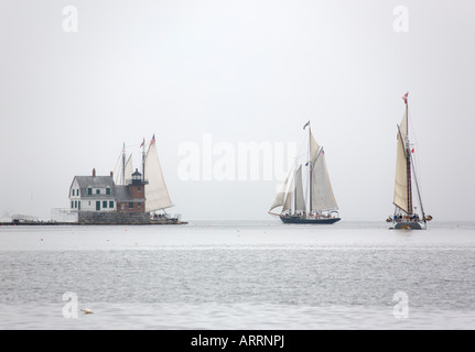 Drei Schoner mit Touristen an Bord, um die Rockland-Hafen-Mole für Touren von Penobscot Bay, Maine, im Nebel gebunden. Stockfoto