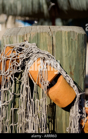 Angeln, Net hängen, grünen Pier Pole Stockfoto