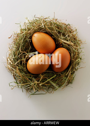 Burford Brown Huhn Bioeier auf weißem Hintergrund Stockfoto