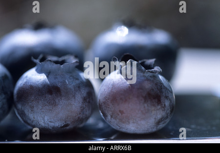 Früchte der Pflanzen der Gattung Vaccinium Heidelbeeren Stockfoto