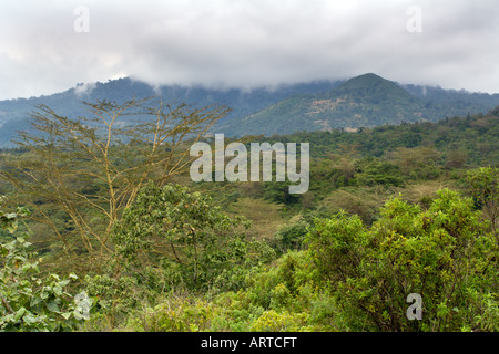 Grüne Landschaft in Arusha N. P. Stockfoto